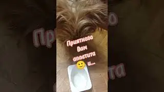Необычный завтрак 😃