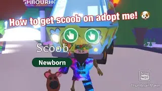 🐶How to get scoob on adopt me!🐶 #roblox #robloxadoptme