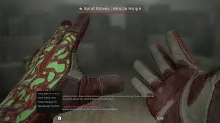 Sport Gloves Bronze Morph Field Tested(FT)