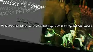 Me Pressing The Button One The Wacky Pet Shop To See What Happens Add Round 2 @KaseyLeitch
