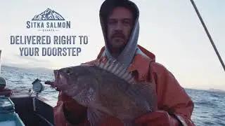 A Taste of Sitka Salmon Shares