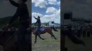 ПОХОД. ДЕНЬ 4. ГУЛЯЙ ПОЛЕ