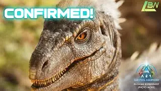 BREAKING: Wildcard Confirms Major ASA Update!