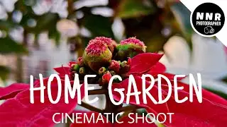 Home Garden Cinematic Shoot Video With Mobile | Home Garden Shoot by #nnrphotographer