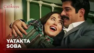 Kamran Feride'nin Yanından Ayrılmıyor | Çalıkuşu 16. Bölüm