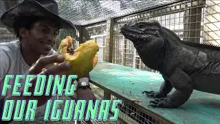 UG Vlog