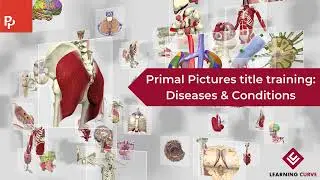 Primal Pictures title training: Diseases & Conditions