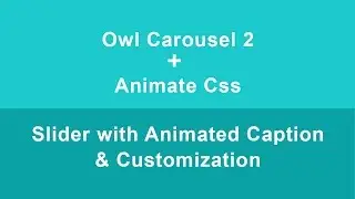 Owl Carousel 2 With Caption Animation (Animate CSS) & Customization