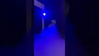 дымок 