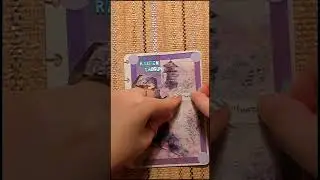 Raiden Shogun Theme Scrapbook | Genshin Impact Collage