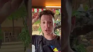 Вот где вы можете купить ЛУЧШИЙ КОФЕ НА БАЛИ