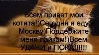 Ты меня не ТРОЛЛЬ!