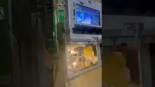 #3Dпринтер