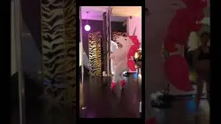 🦄Pole Unicorn Challenge🦄