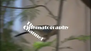 Text On Blurry Background Effect in Premiere Pro Tutorial