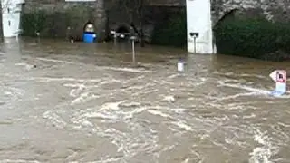 Mosel left coast (Koblenz)