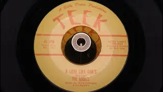 Ascots - A Love Like Our's - Teek : ZTSC 96626 (45s)