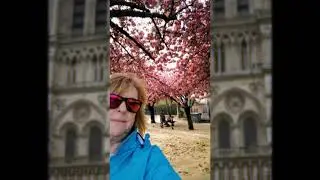 Catedral de Notre Dame de París, que lindo escuchar sus campanas