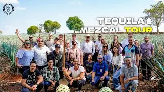 Tequila & Mezcal Tour in Mexico - European Bartender School