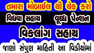 Vidhava Shahay Yojana|viklaang sahay yojana|vrudhh sahay|Gujarat New Upadate2022@onlineinformation8324