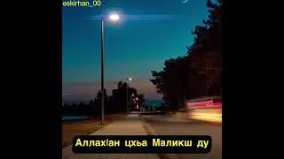 Аллах1ан цхьа Маликш ду Хьехам