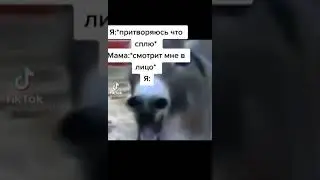 СМЕШНОЕ С ТИК ТОКА