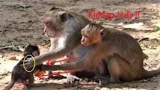 OMG Surprising mom Jane by Shock, Young Spring Trying to steal her baby, while baby is playing