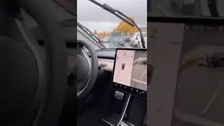 Tesla Auto parking 