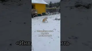 В профиле есть ссылки на все соцсети и помощь. В ТГ живое общение со мной. Приходите 