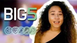 De Big 5