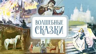 Волшебные сказки о настоящей любви. Сборник сказок «Вышивальщица птиц», «Золушка», «Там Лин»