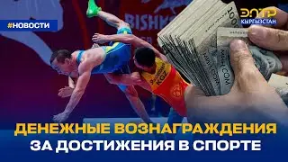 ДЕНЕЖНЫЕ ВОЗНАГРАЖДЕНИЯ ЗА ДОСТИЖЕНИЯ В СПОРТЕ