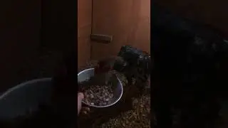 9 апреля 2019 г.