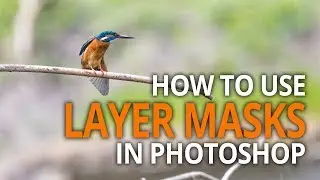 How to Use Layer Masks in Photoshop