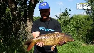 Get that carpy look with Shimano's NEW clothing range (IYCF)