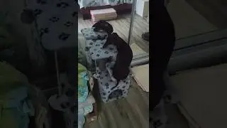 А я кайфую..