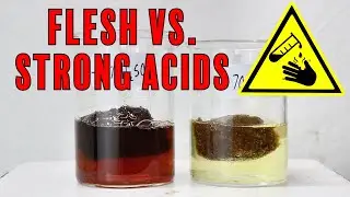 What Acid Entirely Dissolves Flesh?