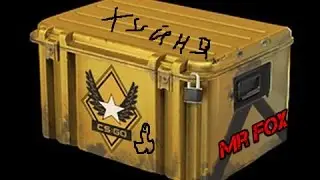 Открываем  1 кейс !!!