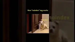 How to noindex work