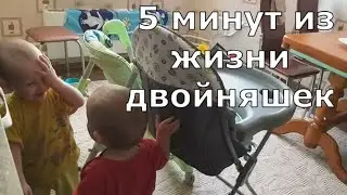 Funny baby twins  | Cute baby twins  | 5 minutes of twin life