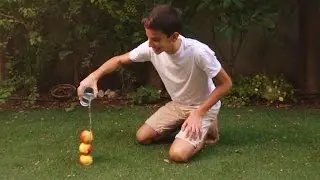 How to Grow Cold Tea