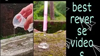 Reverse video|| 5 reverse video ideas
