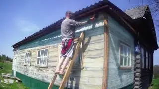 Поросячья радость. Ураган. Ягодный сад. Огород. Новый питомец.