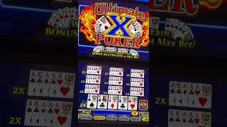 Chasing #UFC 300 Losses #gambling #shorts