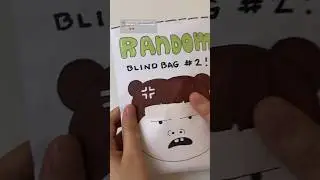 Random blind bag! 