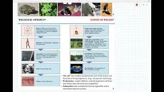 Week 1 - Scientific method. Taxonomy. Atoms and bonds
