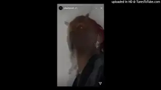 (free!) Playboi Carti + Pi'erre Bourne + Lancey Foux Type Beat 2020 "bitin/teethin" (prod. @kay50k)