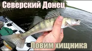 Рыбалка на Северском Донце