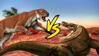 Marsupial Lion VS Megalania - Prehistoric Predators FACE-OFF