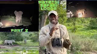 Matetsi Safari Part 2